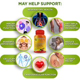 SUPPLEMENTS STUDIO Quercetin Phytosome ingredients list