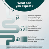 SUPPLY6 360 Blended Vitamin & Mineral Supplement ingredients list