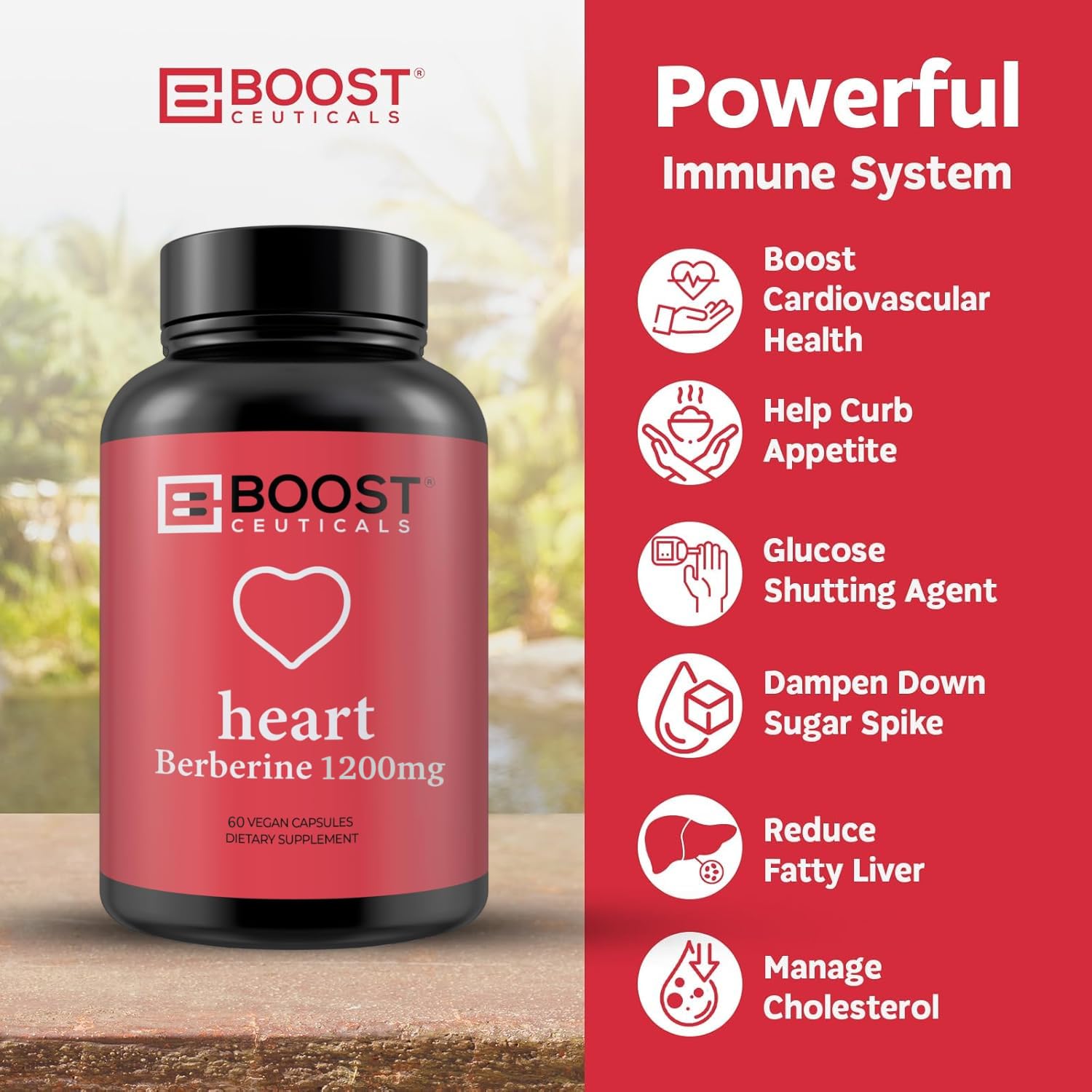 support Berberine HCL 1200mg capsules on a wooden table