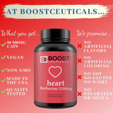 support Berberine HCL 1200mg capsules with ingredients list