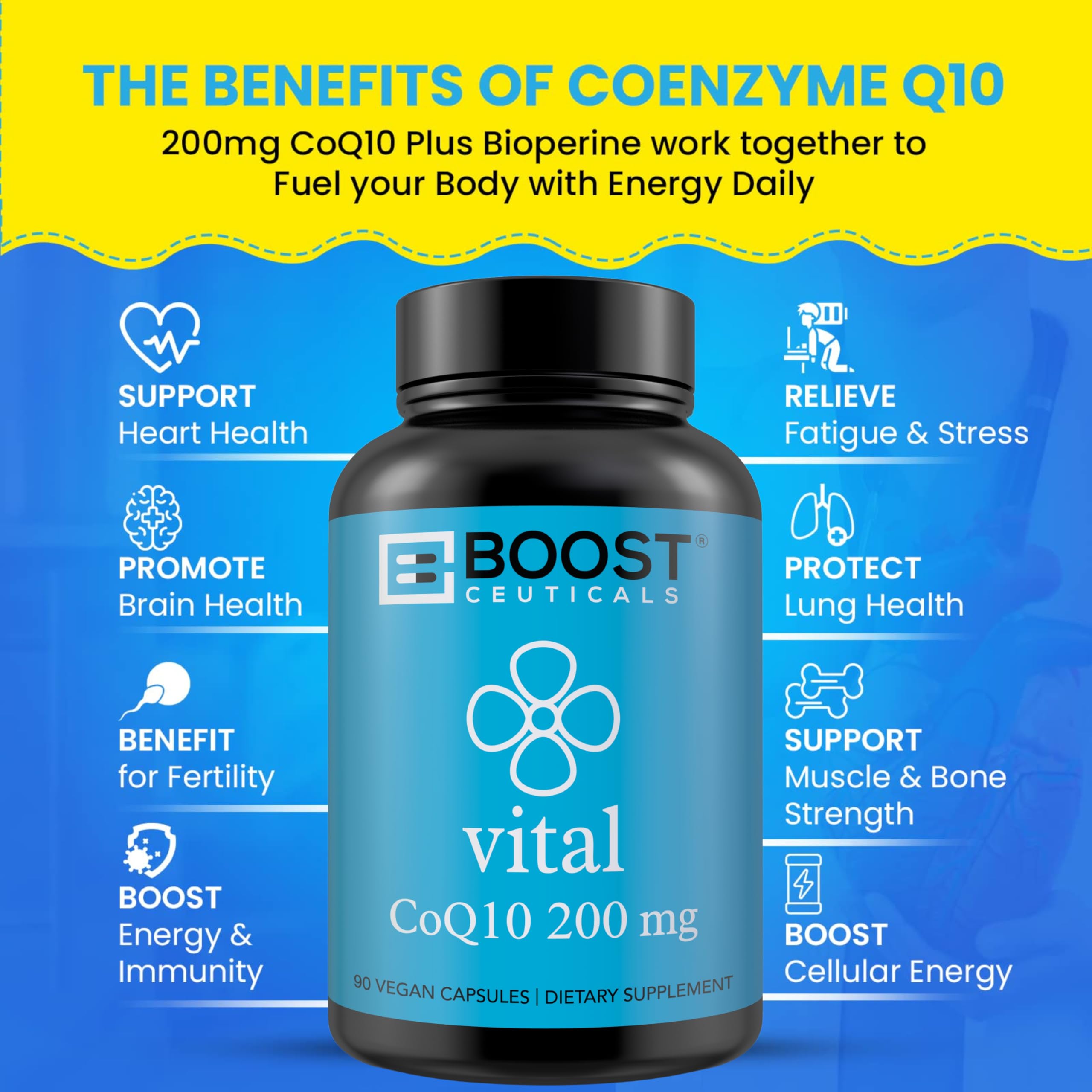 support CoQ10 200MG Ubiquinone Capsules side view