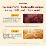 support Labs Liposomal NAD+ liquid supplement on a table