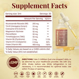support Labs Liposomal NAD+ liquid supplement with smoothie