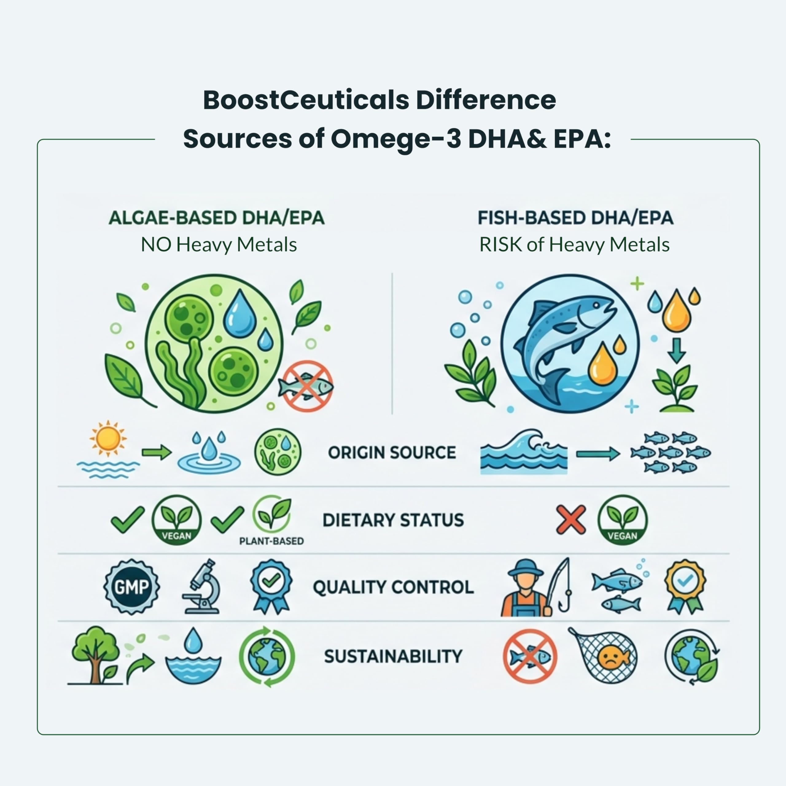 support Omega-3 Algae Oil lifestyle scene