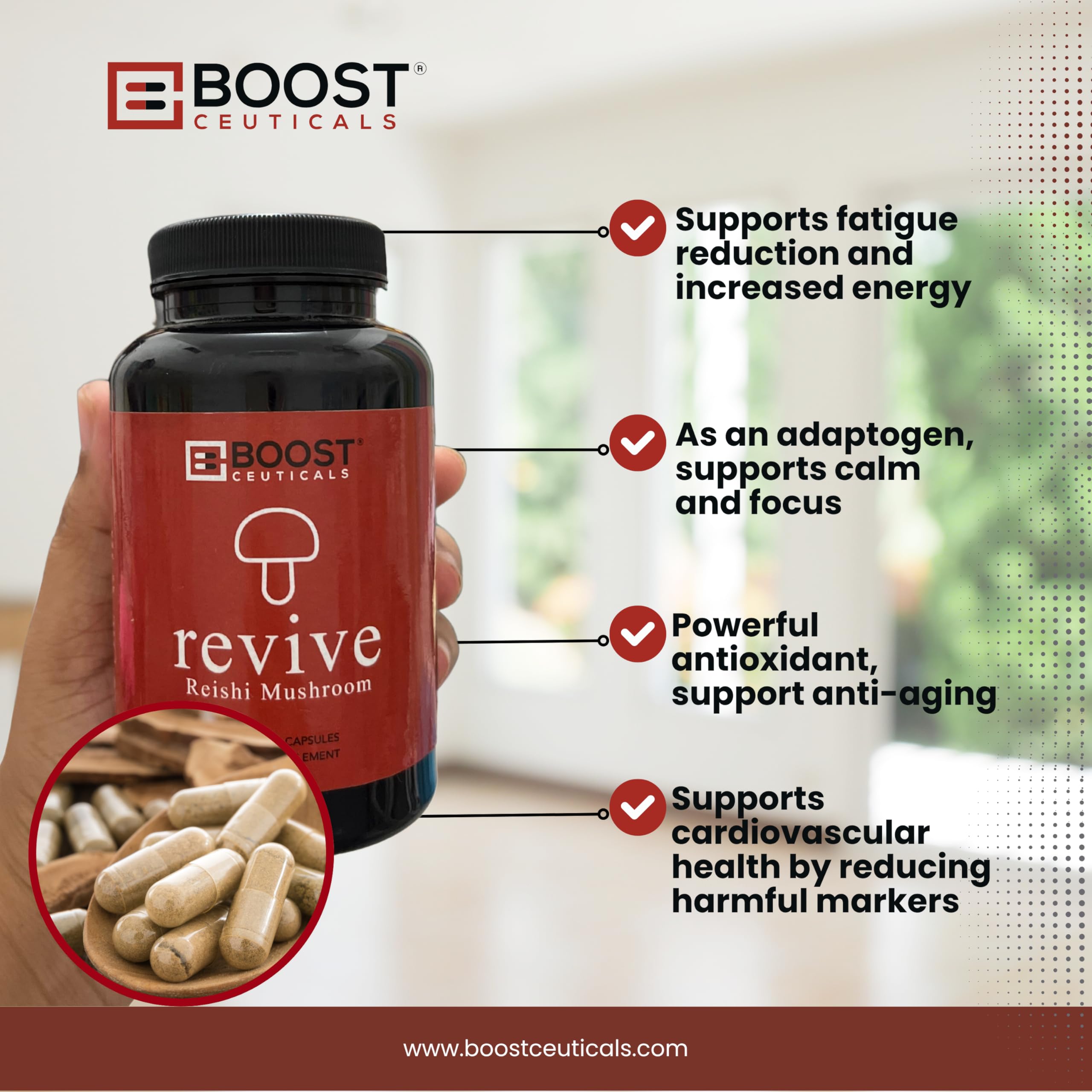 support Reishi Mushroom Capsules with glass of water