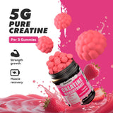 support Strawberry Creatine Gummies in a hand