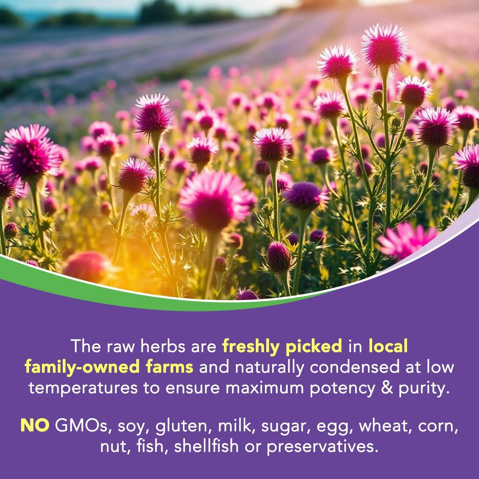 Surebounty Milk Thistle Complex 4-in-1 Capsules ingredients list