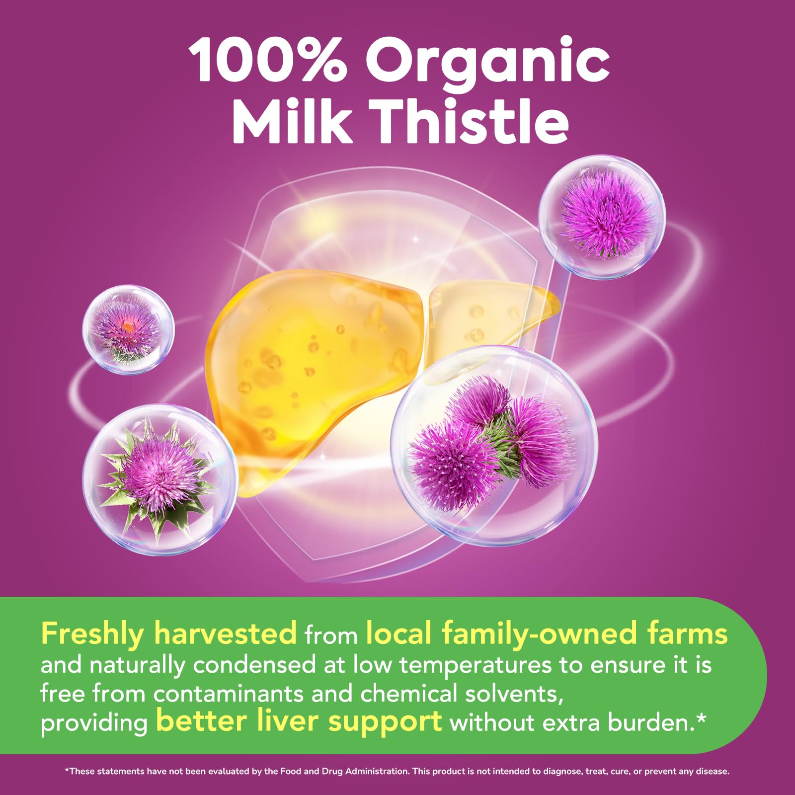 Surebounty Milk Thistle Extract 300mg capsules close-up