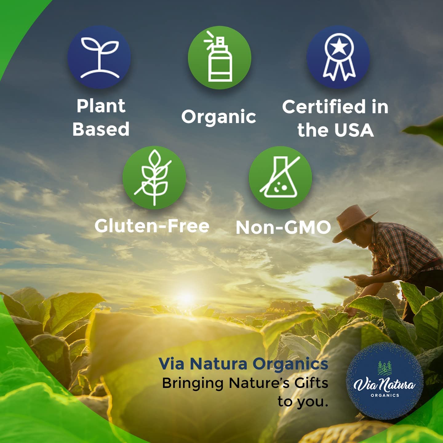 Sustainable packaging of Via Natura Organics Organic Ashwagandha