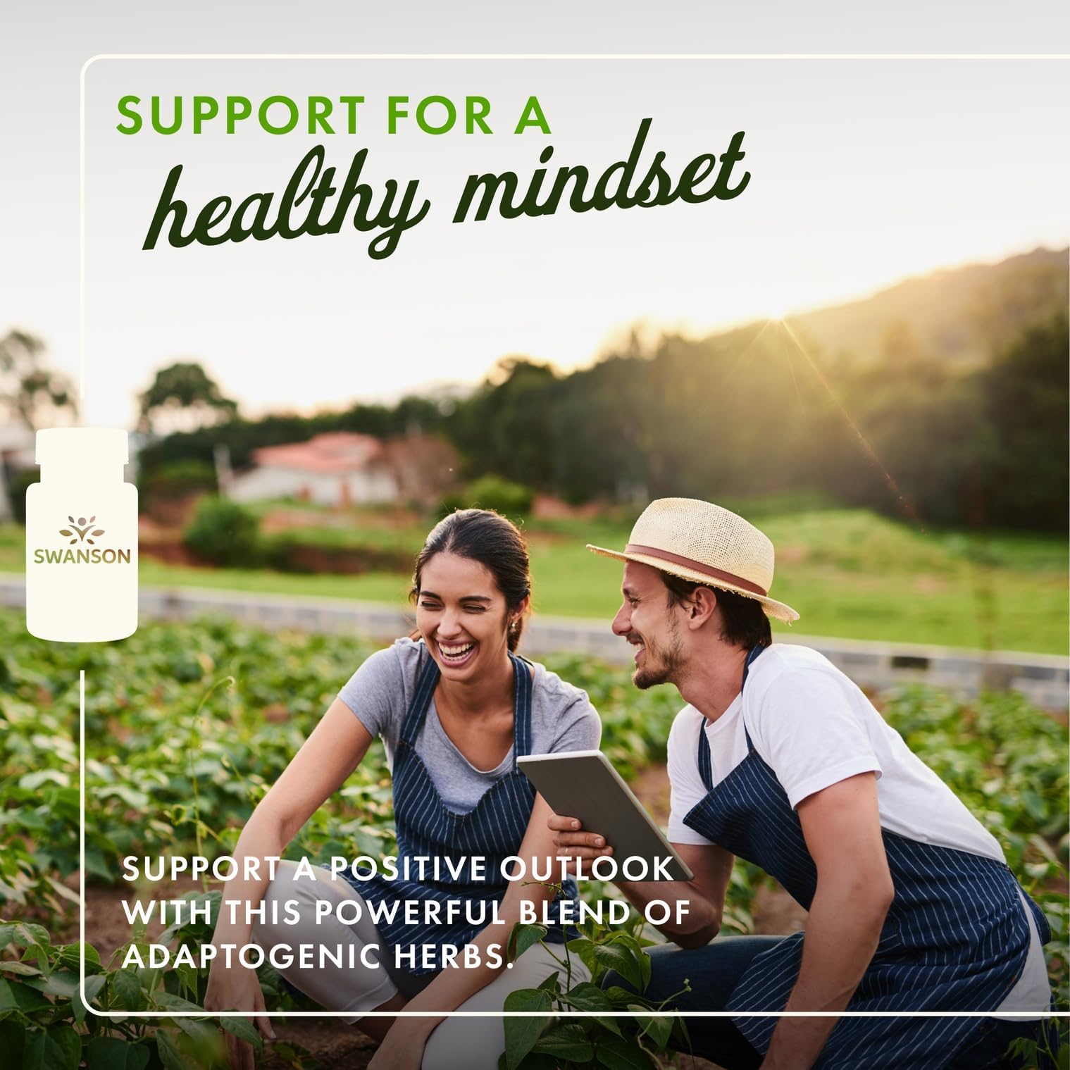Swanson Ashwagandha & Rhodiola supplement ingredients list