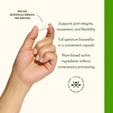 Swanson Boswellia Serrata supplement ingredients list
