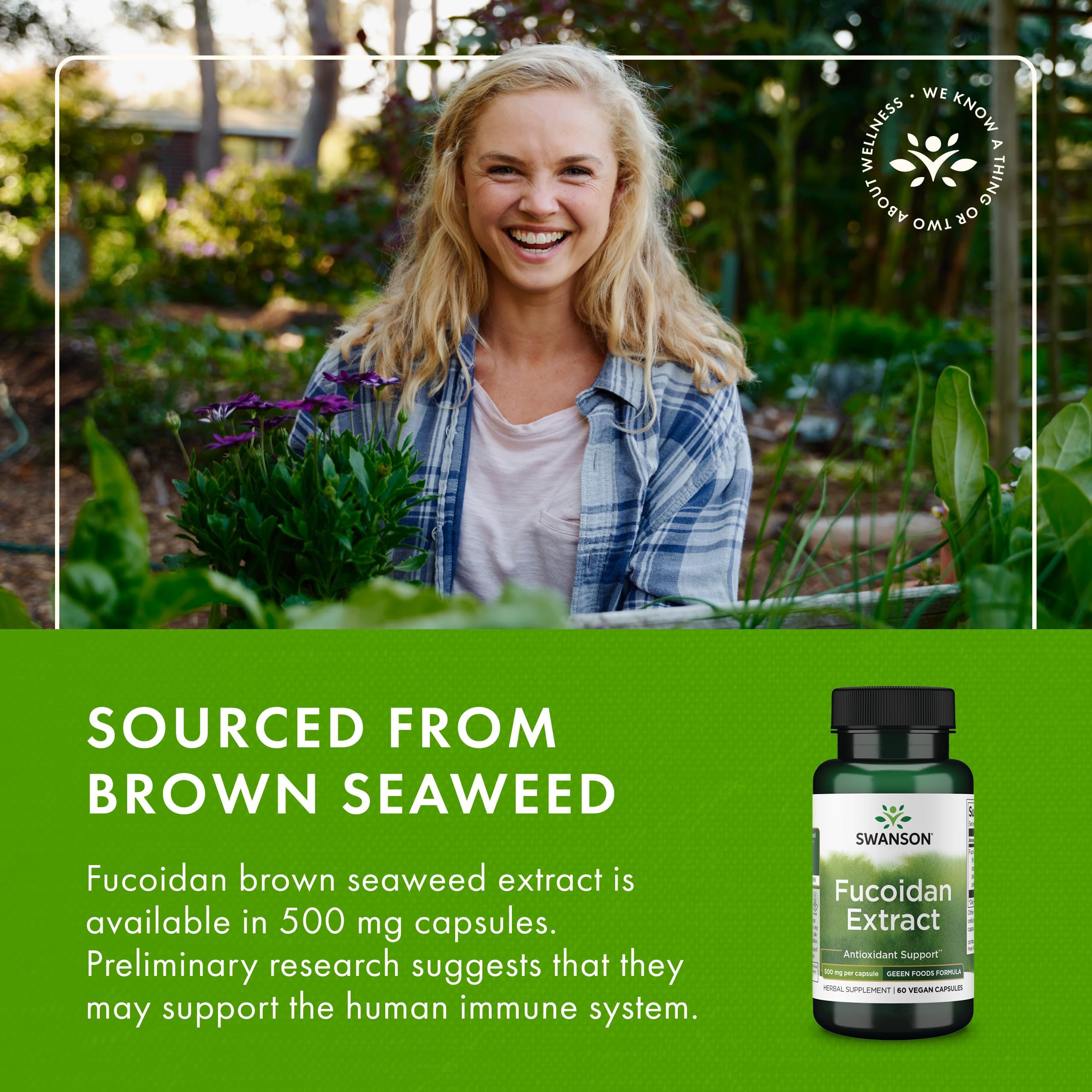 Swanson Fucoidan Extract 500mg Capsules on a wooden table