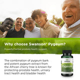 Swanson Hyssop Capsules 900mg in a lifestyle setting