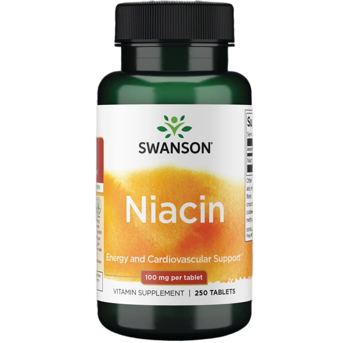 Swanson Niacin B3 Supplement 100 mg NE 90 Capsules front view