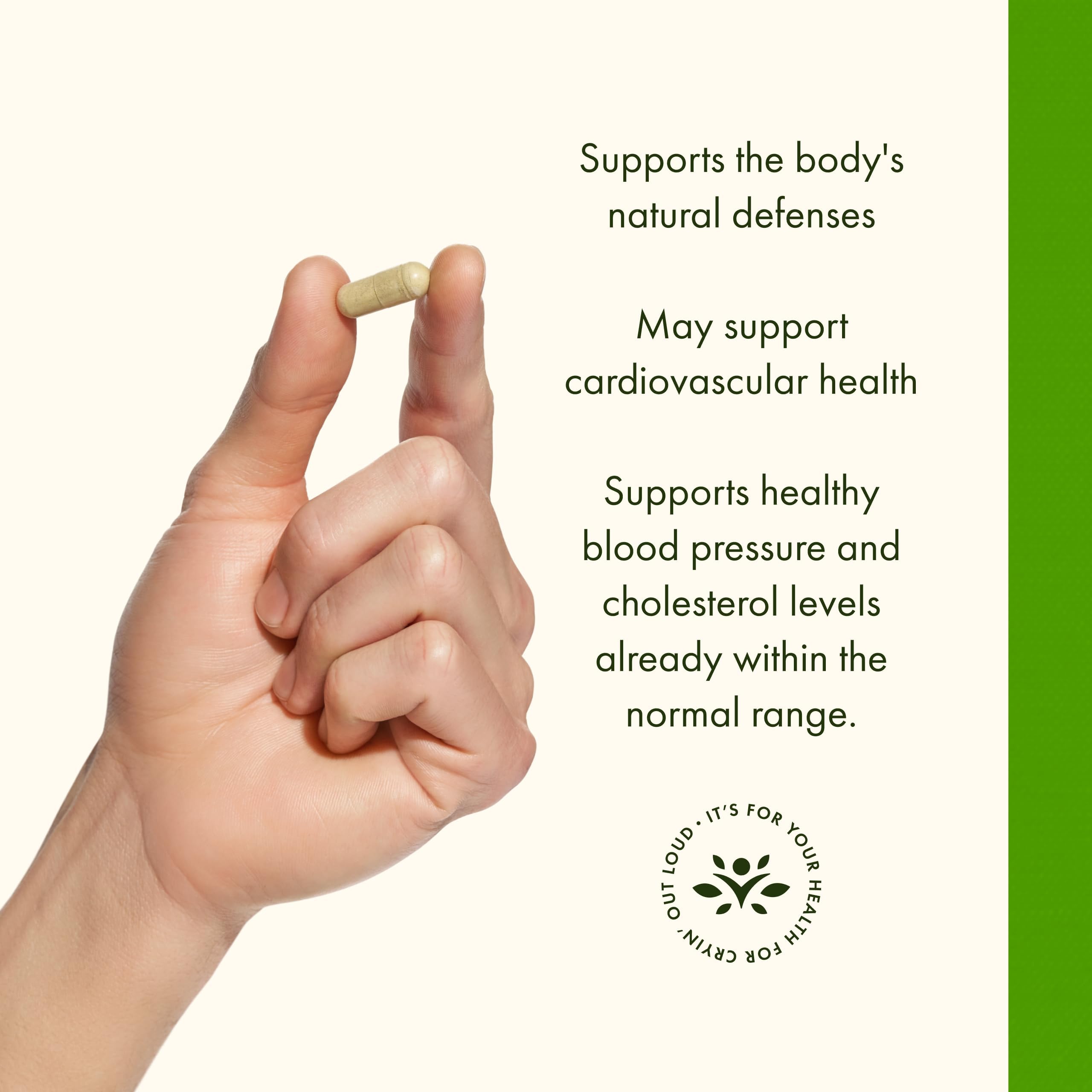Swanson Olive Leaf Extract 500mg capsules close-up