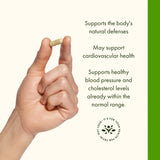 Swanson Olive Leaf Extract 500mg capsules close-up