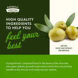 Swanson Olive Leaf Extract 500mg capsules with ingredients