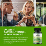 Swanson Probiotics Bacillus Coagulans 6 Billion CFU capsule in a hand