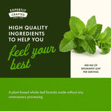 Swanson Spearmint Leaf Capsules 400mg with water