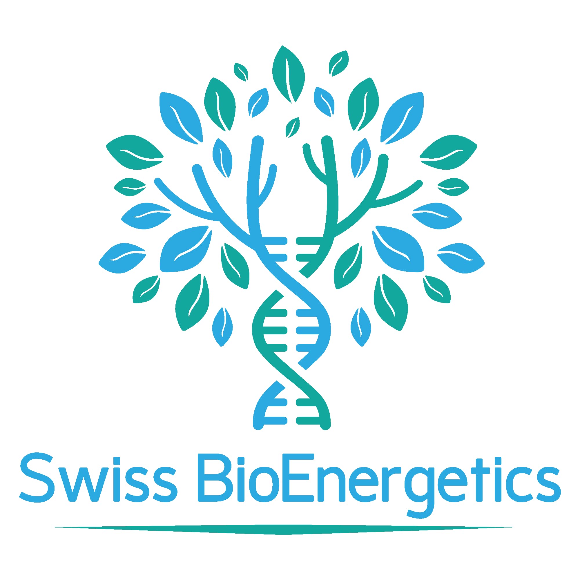swiss bioenergetics Magnesium L-Threonate Capsules with other supplements