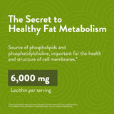 Swisse Soy Lecithin Capsules 3000mg capsules on a table