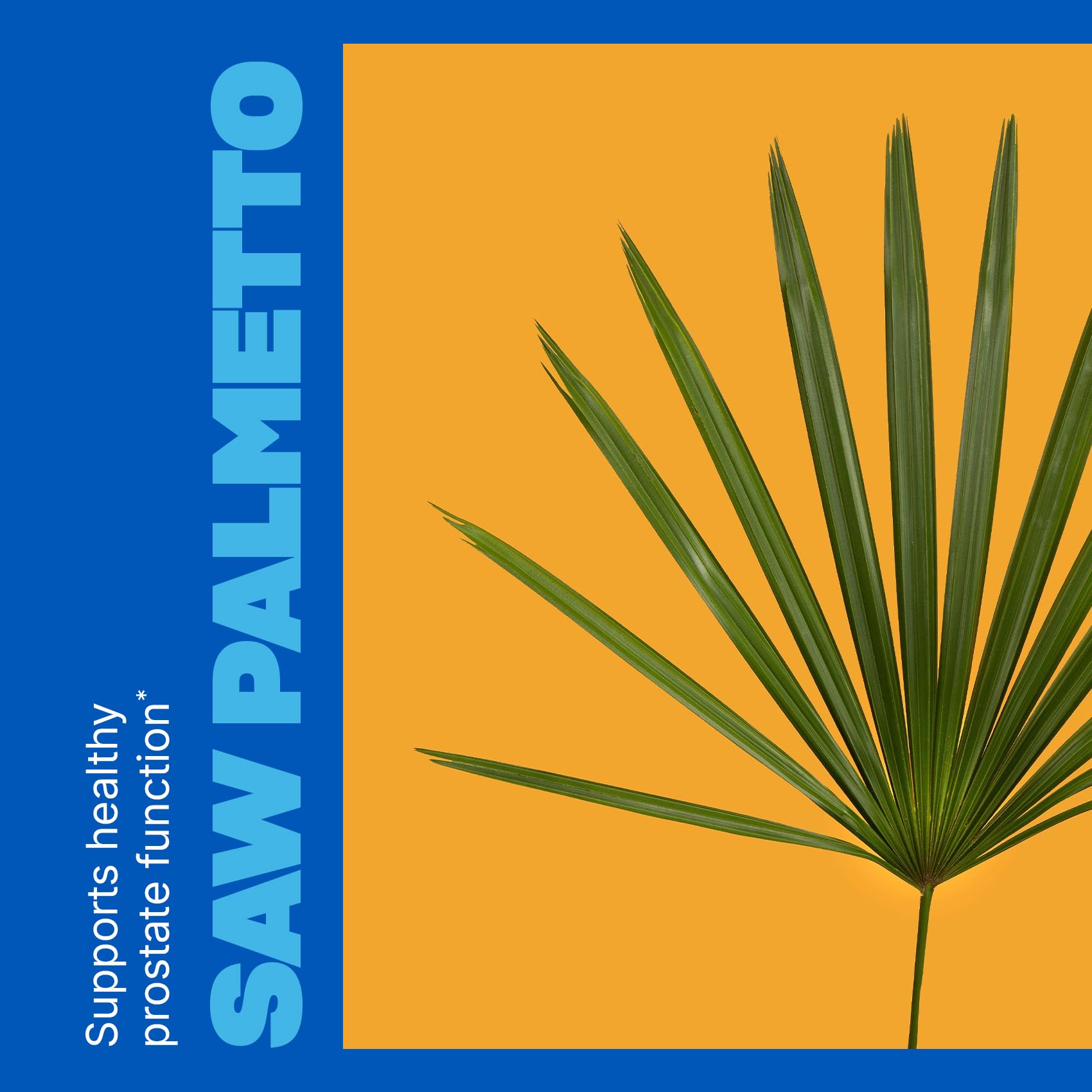 Swisse Ultivite Prostate Support Supplement tablet close-up