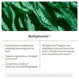 Synchro ReJuve Joint Supplement ingredients list