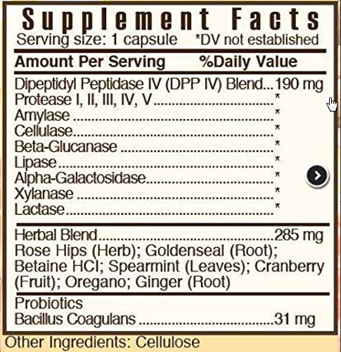 Systemic Formulas ZGLUTN Multi-Enzymes 23g side view