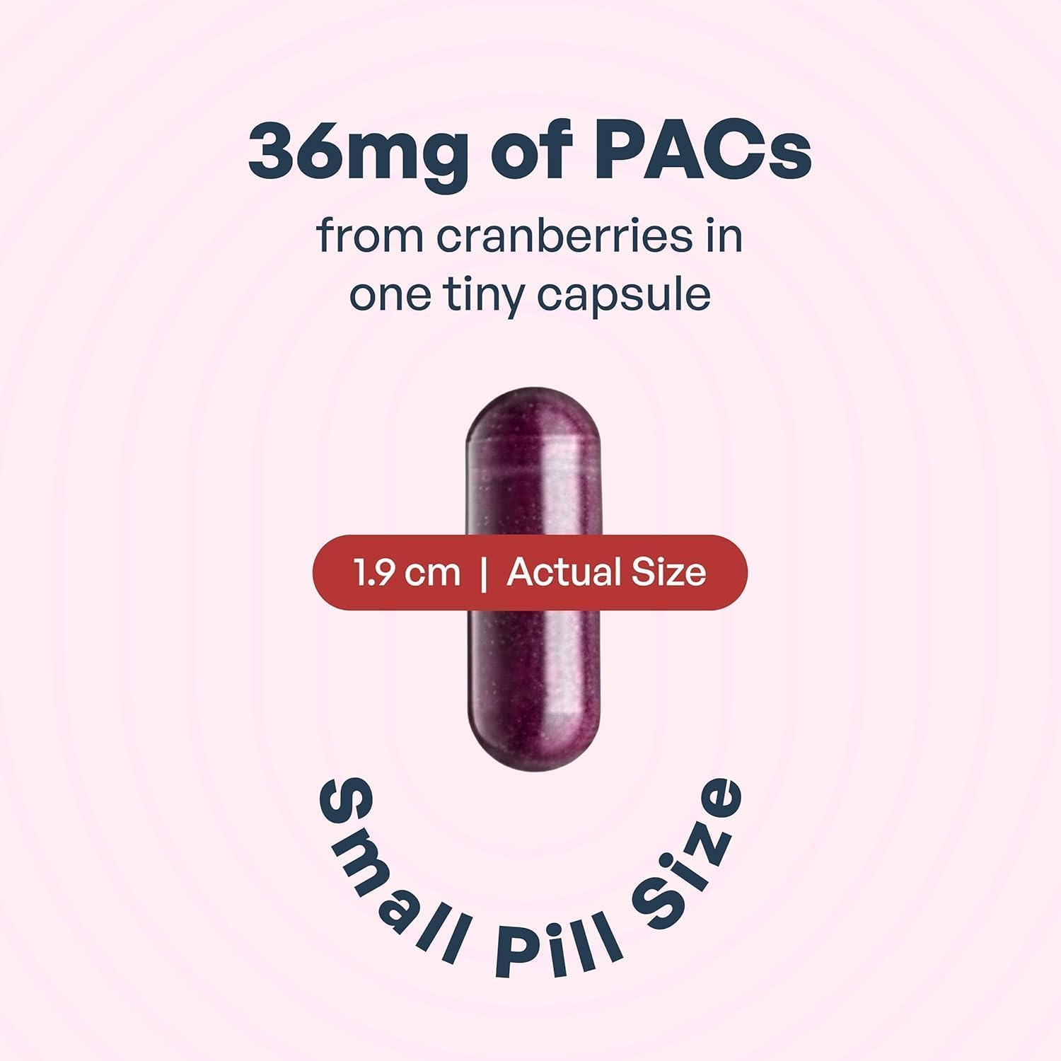 Szio+ Cranberry Supplement 240mg capsules on a wooden surface