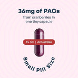 Szio+ Cranberry Supplement 240mg capsules on a wooden surface