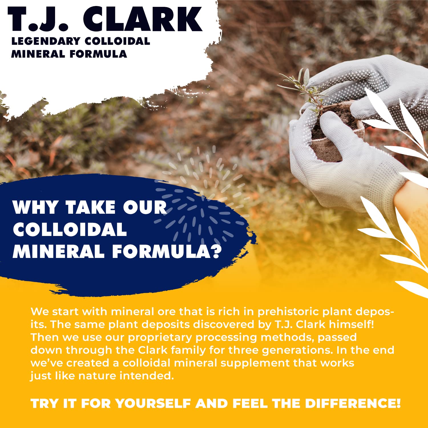 T.J. Clark Colloidal Silver Supplement in a lifestyle setting