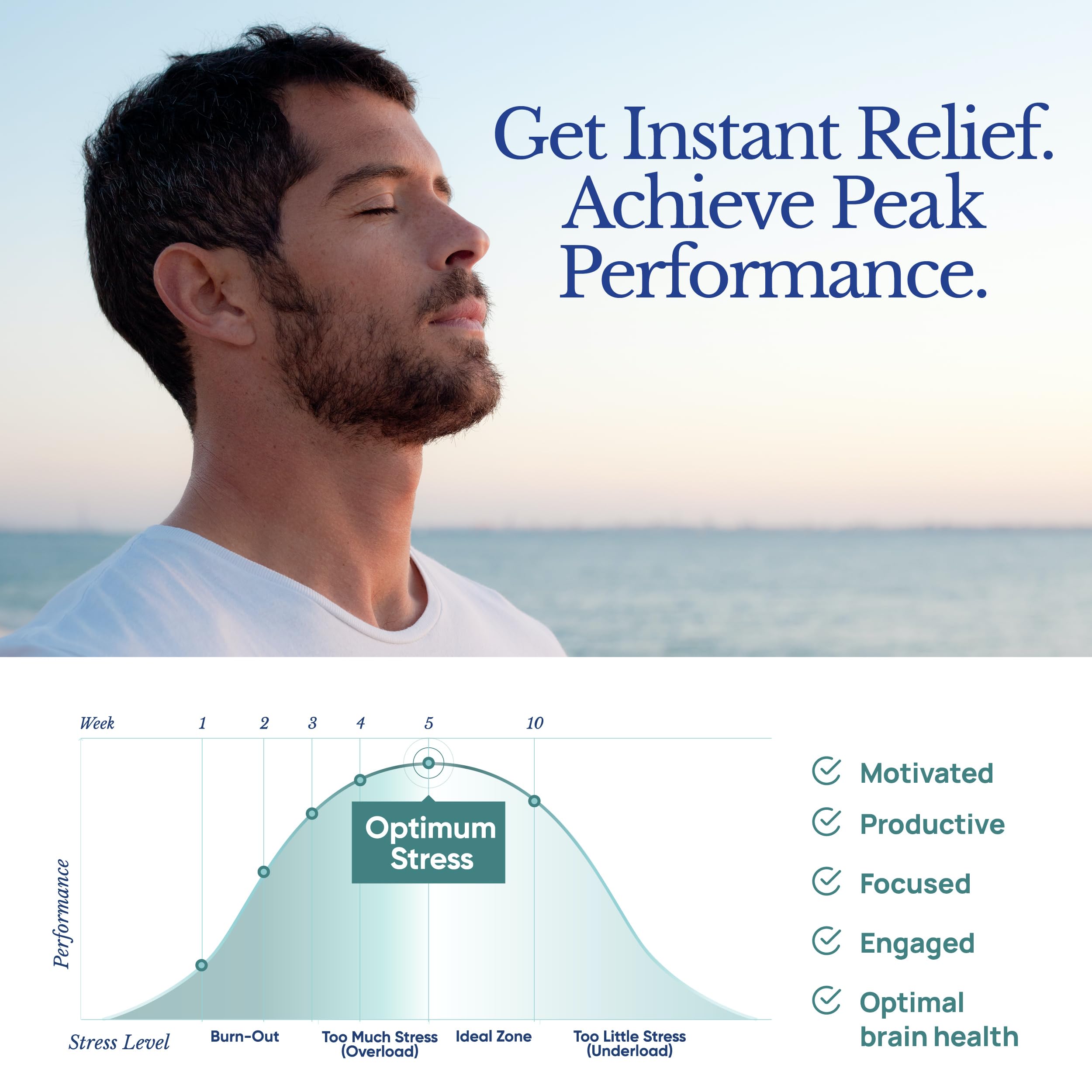 TAHIRO Stress Support Supplement ingredients list on packaging