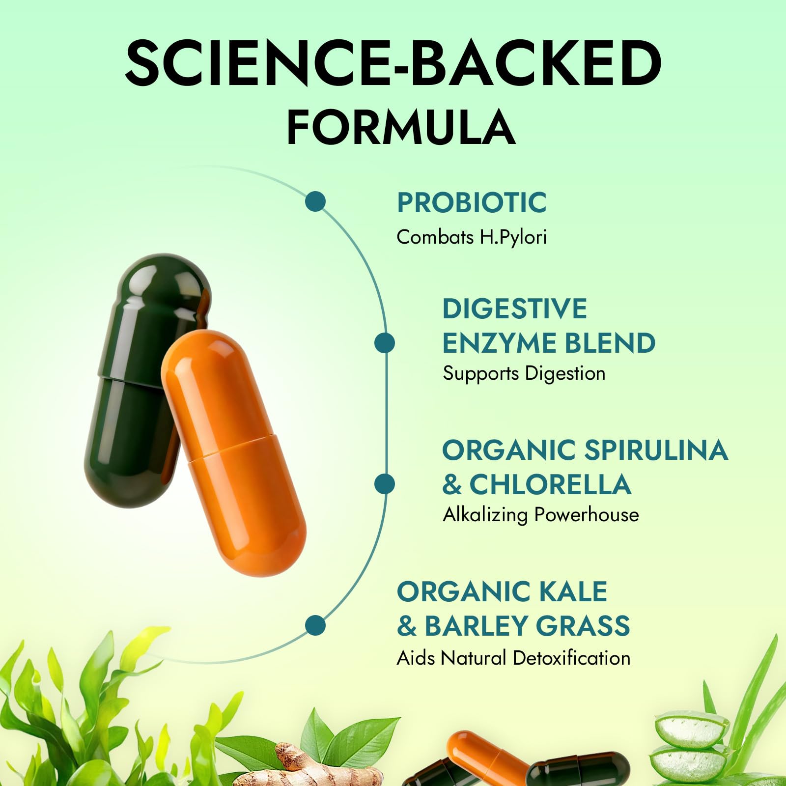 TakTuqa Multi-Enzymes Supplement on a kitchen counter