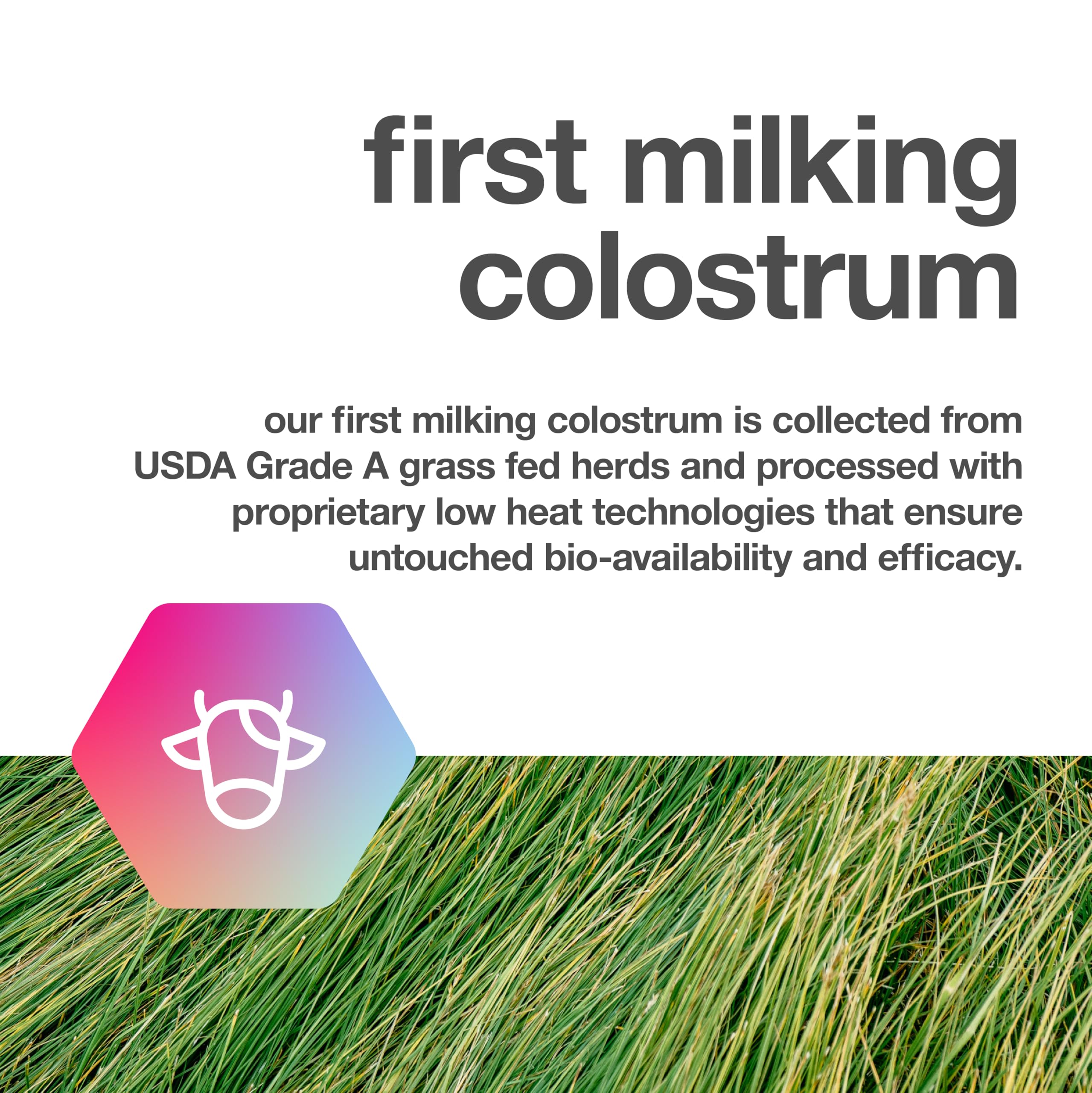 TBR Labs Whole Colostrum 1500mg on a table