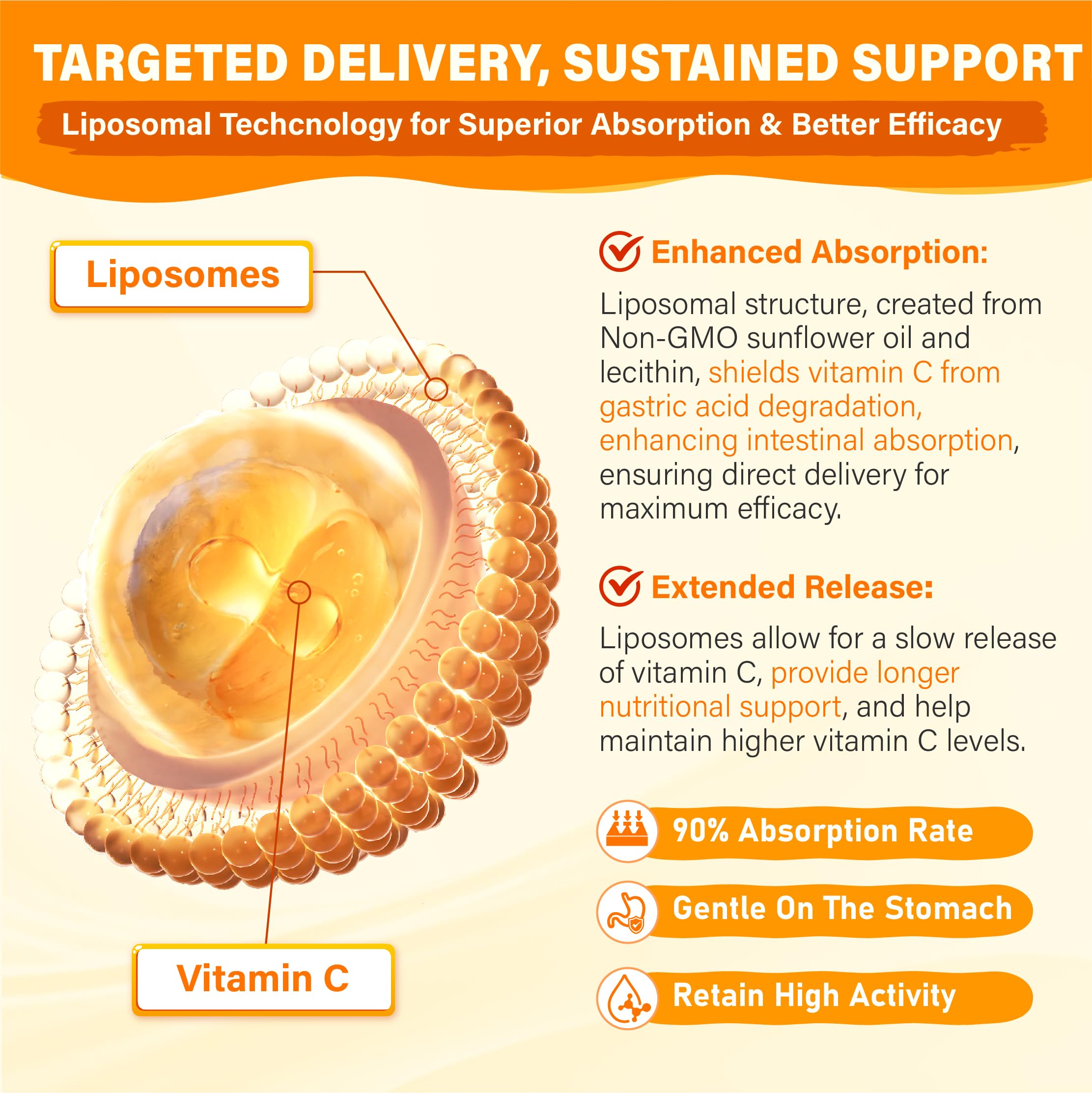 Tcemundry Vitamin C Gummies 1000mg close-up of strawberry flavour