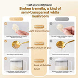 TEAERPKLAE Snow Mushroom Dessert 6g side view of packaging