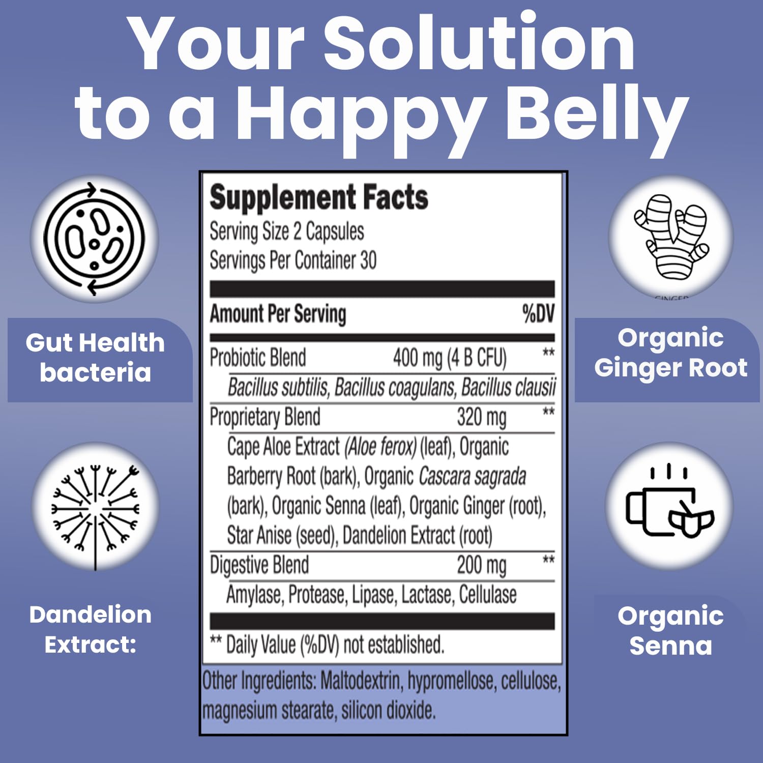 Teami Banish supplement bottle with label