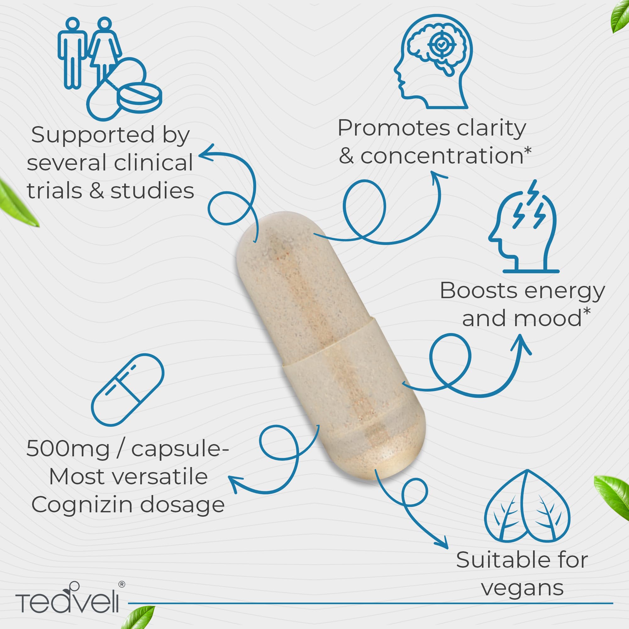 Teaveli Cognizin Citicoline 500mg capsules packaging