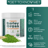 Teaveli Organic Barley Grass Juice Powder 226g back view