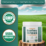 Teaveli Organic Barley Grass Juice Powder 226g serving suggestion with smoothie