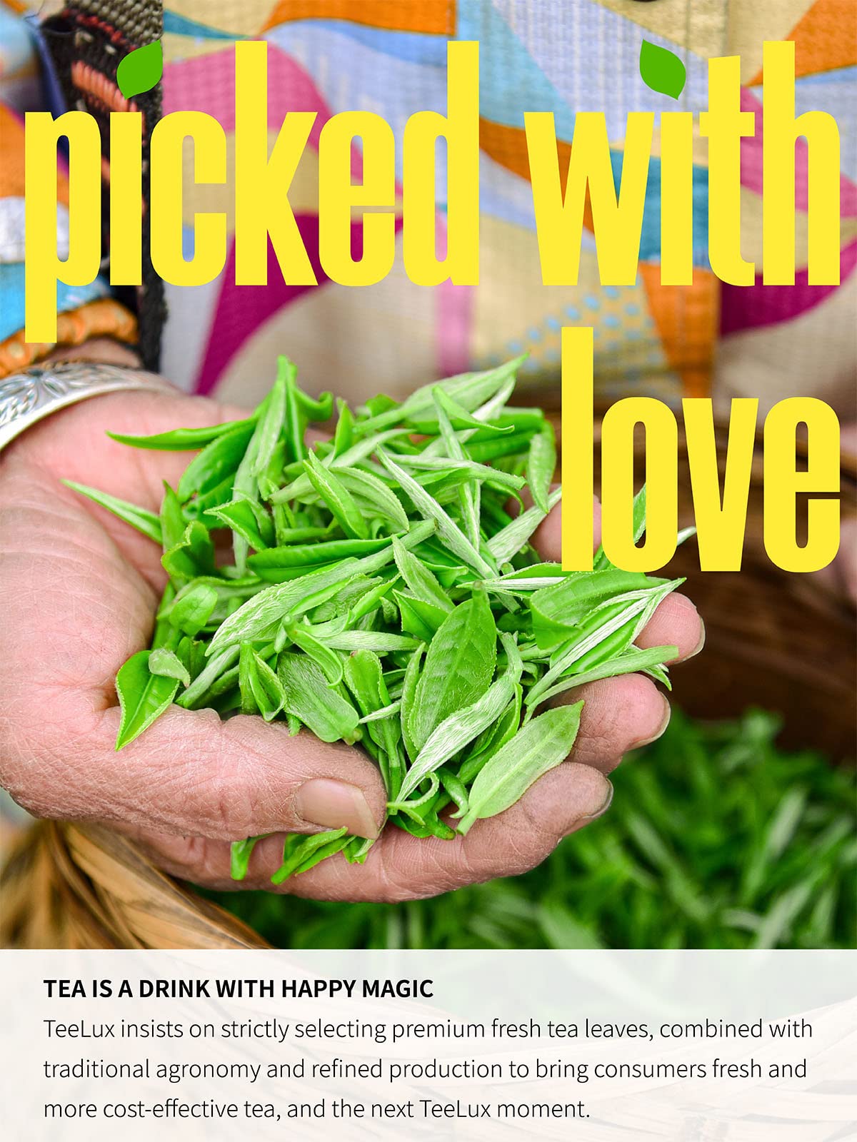 TeeLux Decaffeinated Green Tea tea bags close-up