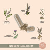 tenderMa support Fenugreek-Free Lactation Support ingredients close-up