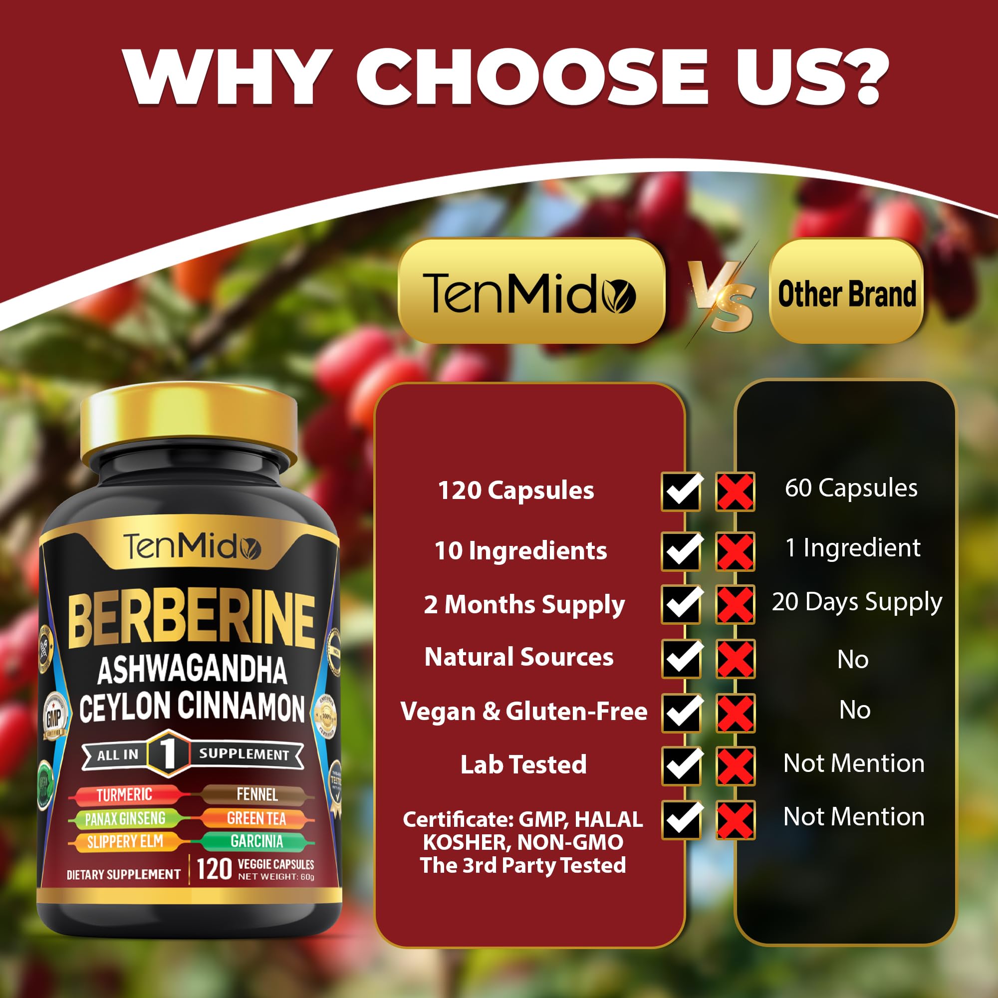 Tenmido Berberine Supplement bottle with a measuring spoon