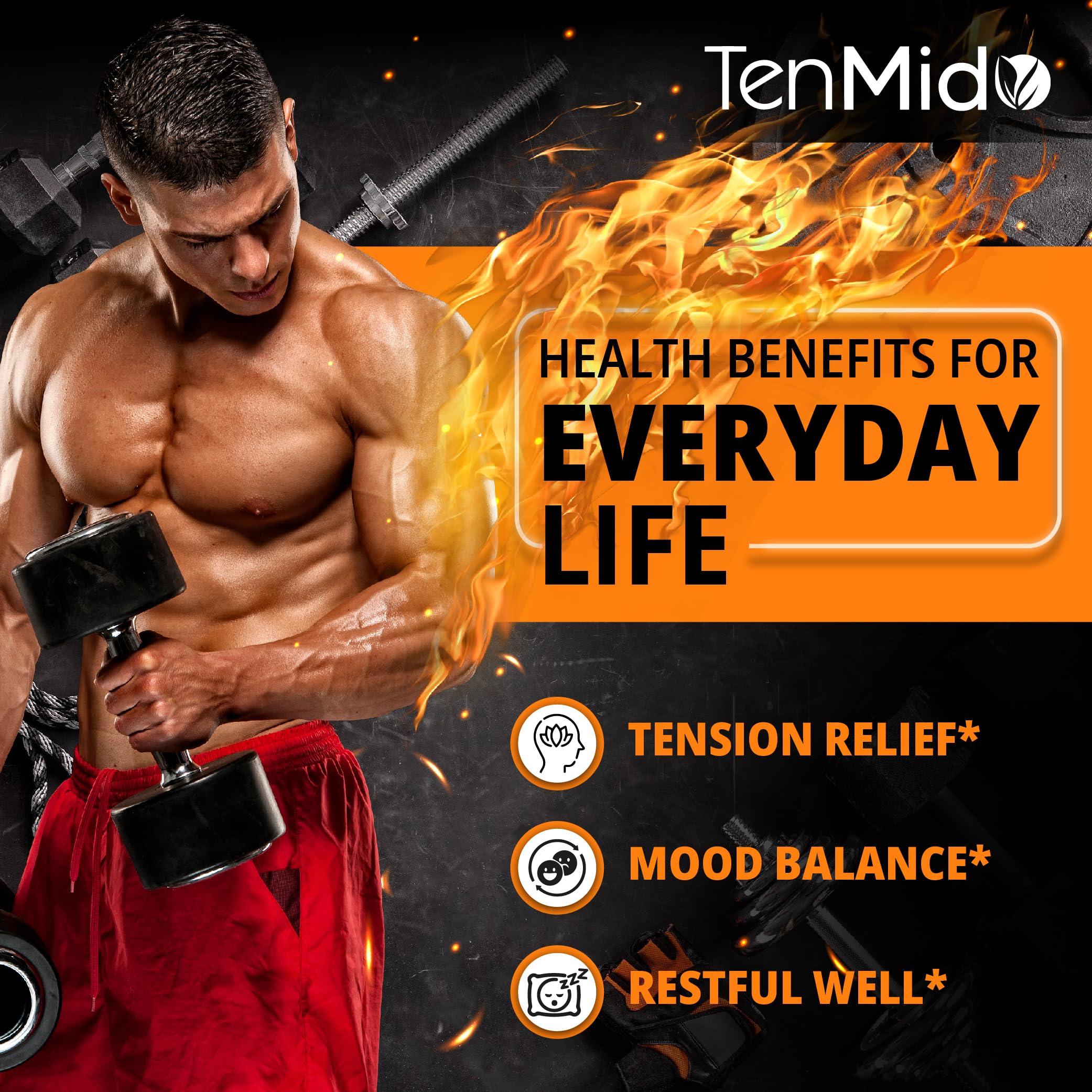 Tenmido Lemon Balm Tincture 2500mg with measuring dropper