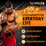 Tenmido Lemon Balm Tincture packaging