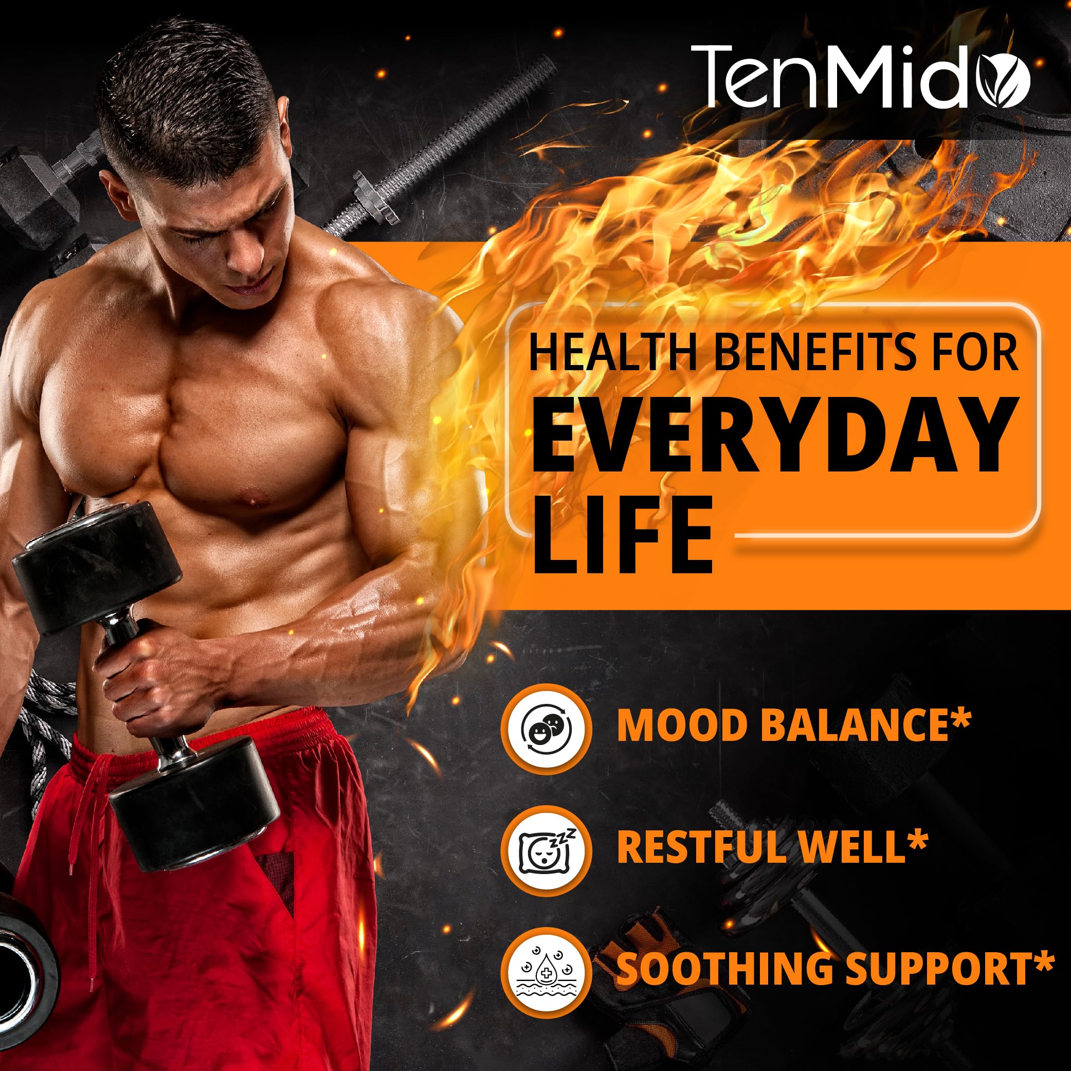 Tenmido Lemon Balm Tincture packaging