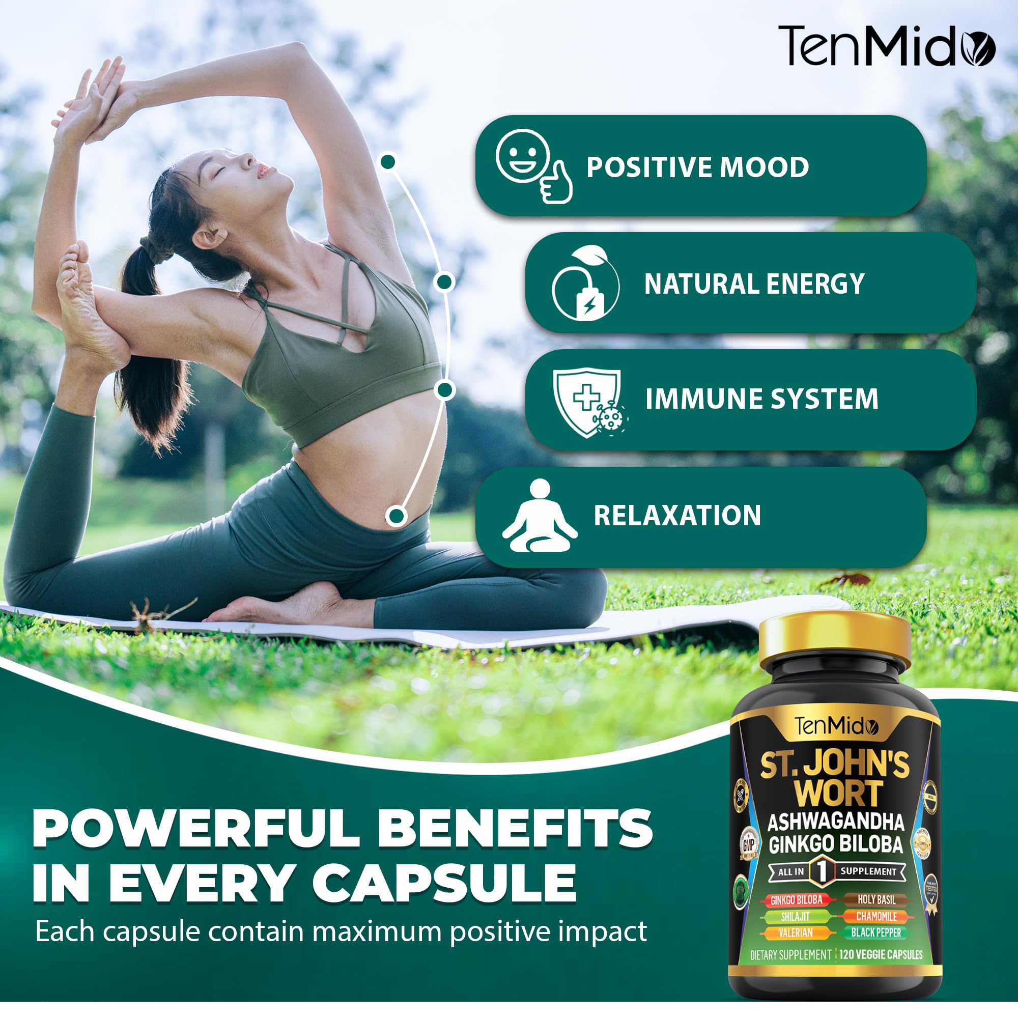 Tenmido St. John's Wort Advanced Formula ingredients list