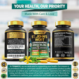 Tenmido St. John's Wort Advanced Formula packaging details