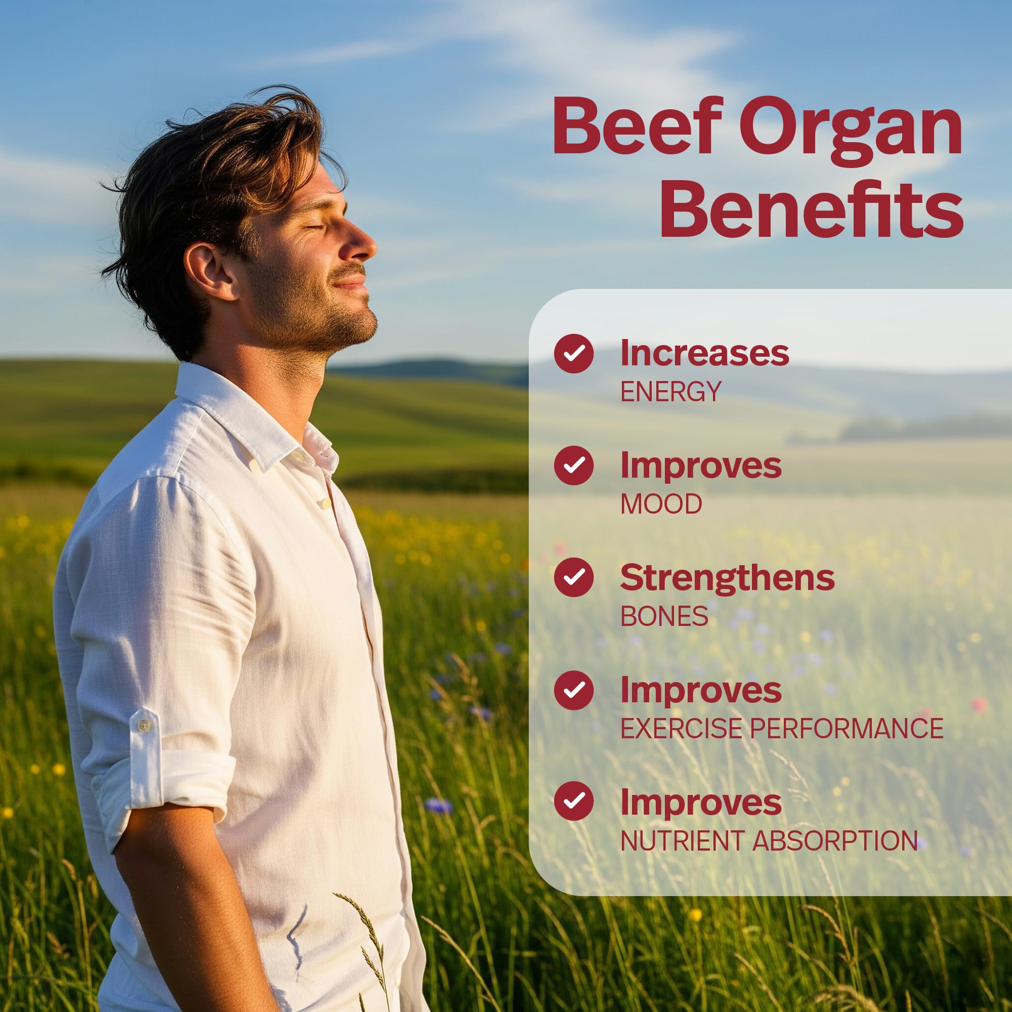 Teraputics Beef Organ Capsules back view showing ingredients