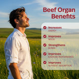Teraputics Beef Organ Capsules back view showing ingredients